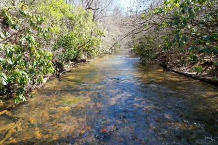 346 Acres Of Land Located In Patrick County, Va - image 2