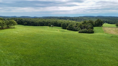 346 Acres Of Land Located In Patrick County, Va - image 12