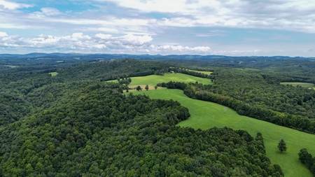346 Acres Of Land Located In Patrick County, Va - image 6
