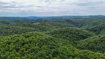 346 Acres Of Land Located In Patrick County, Va - image 7