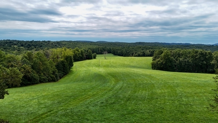 346 Acres Of Land Located In Patrick County, Va - image 10