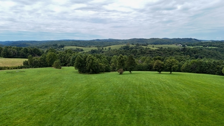 346 Acres Of Land Located In Patrick County, Va - image 11