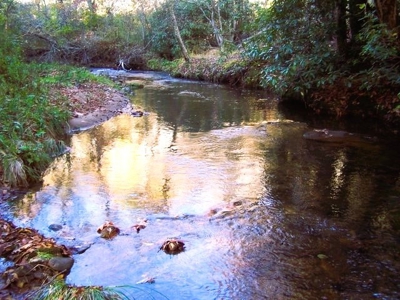 346 Acres Of Land Located In Patrick County, Va - image 16
