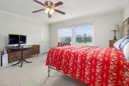 Ozark County Home and 42 Acres Close to Rockbridge Ranch - image 17