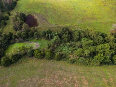 Ozark County Home and 42 Acres Close to Rockbridge Ranch - image 33