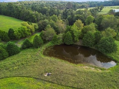 Ozark County Home and 42 Acres Close to Rockbridge Ranch - image 26