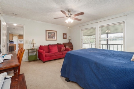 Ozark County Home and 42 Acres Close to Rockbridge Ranch - image 20