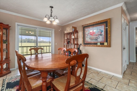 Ozark County Home and 42 Acres Close to Rockbridge Ranch - image 8