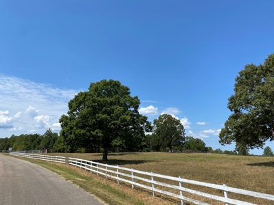 Farm For Sale In Tn, Acreage, Large Home, Shop, Barn, & Pond - image 9