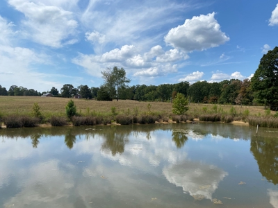 Farm For Sale In Tn, Acreage, Large Home, Shop, Barn, & Pond - image 8