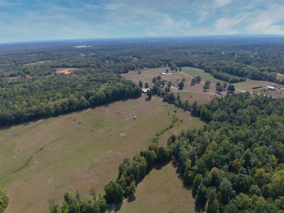 Farm For Sale In Tn, Acreage, Large Home, Shop, Barn, & Pond - image 47