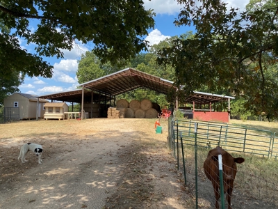 Farm For Sale In Tn, Acreage, Large Home, Shop, Barn, & Pond - image 31