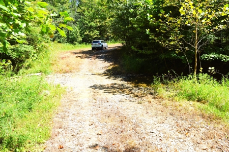 Hunting, Creeks, Marketable Timber, Tralls, Cabin Sites - image 14