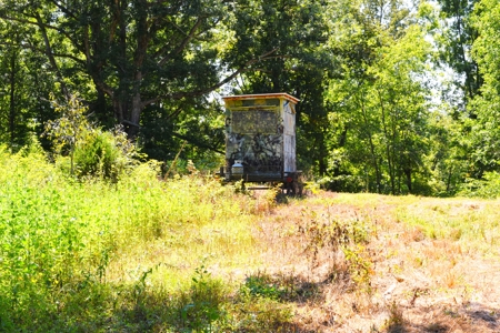 Hunting, Creeks, Marketable Timber, Tralls, Cabin Sites - image 26