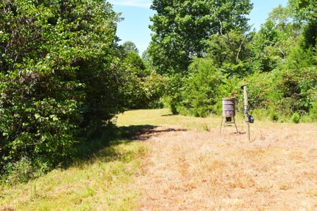 Hunting, Creeks, Marketable Timber, Tralls, Cabin Sites - image 37