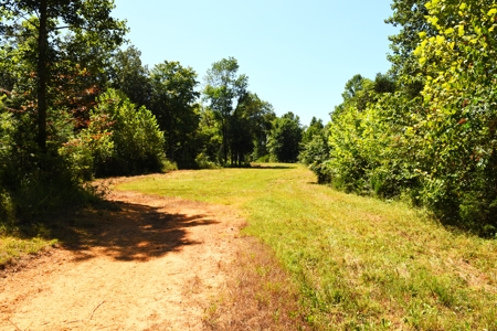 Hunting, Creeks, Marketable Timber, Tralls, Cabin Sites - image 4