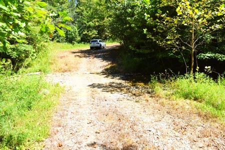 Hunting, Creeks, Marketable Timber, Tralls, Cabin Sites - image 10