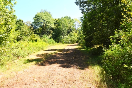 Hunting, Creeks, Marketable Timber, Tralls, Cabin Sites - image 20