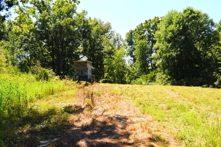 Hunting, Creeks, Marketable Timber, Tralls, Cabin Sites - image 33