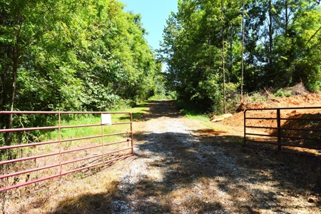 Hunting, Creeks, Marketable Timber, Tralls, Cabin Sites - image 11