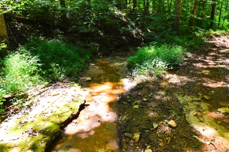 Hunting, Creeks, Marketable Timber, Tralls, Cabin Sites - image 33