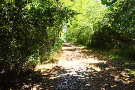 Hunting, Creeks, Marketable Timber, Tralls, Cabin Sites - image 7