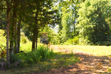 Hunting, Creeks, Marketable Timber, Tralls, Cabin Sites - image 25