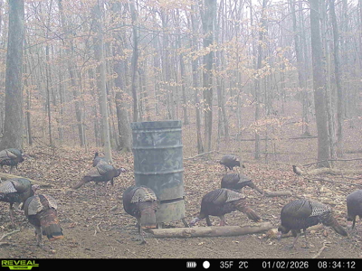 Hunting, Creeks, Marketable Timber, Tralls, Cabin Sites - image 41