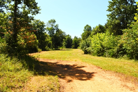 Hunting, Creeks, Marketable Timber, Tralls, Cabin Sites - image 21