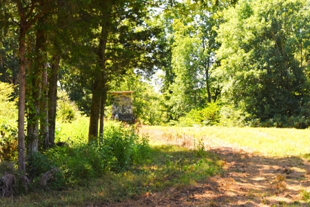 Hunting, Creeks, Marketable Timber, Tralls, Cabin Sites - image 31