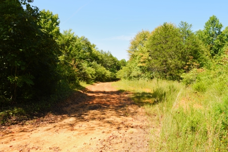 Hunting, Creeks, Marketable Timber, Tralls, Cabin Sites - image 22