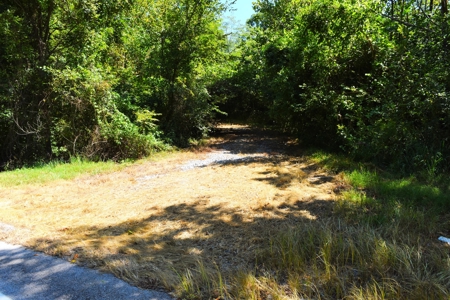 Hunting, Creeks, Marketable Timber, Tralls, Cabin Sites - image 8