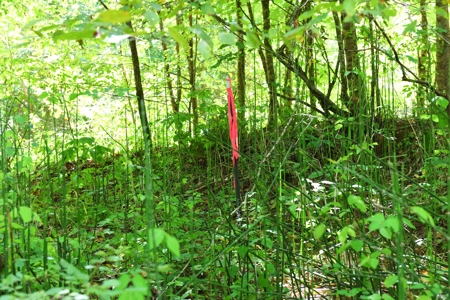 Hunting, Creeks, Marketable Timber, Tralls, Cabin Sites - image 23