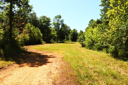 Hunting, Creeks, Marketable Timber, Tralls, Cabin Sites - image 3