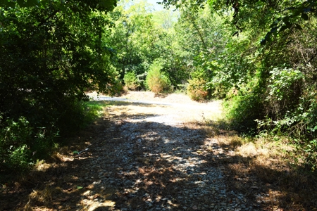 Hunting, Creeks, Marketable Timber, Tralls, Cabin Sites - image 6