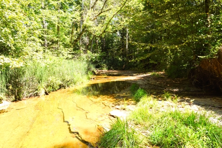 Hunting, Creeks, Marketable Timber, Tralls, Cabin Sites - image 14