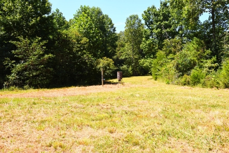 Hunting, Creeks, Marketable Timber, Tralls, Cabin Sites - image 34