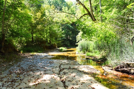 Hunting, Creeks, Marketable Timber, Tralls, Cabin Sites - image 22