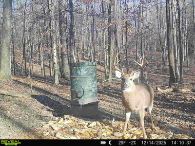 Hunting, Creeks, Marketable Timber, Tralls, Cabin Sites - image 39