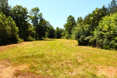 Hunting, Creeks, Marketable Timber, Tralls, Cabin Sites - image 30