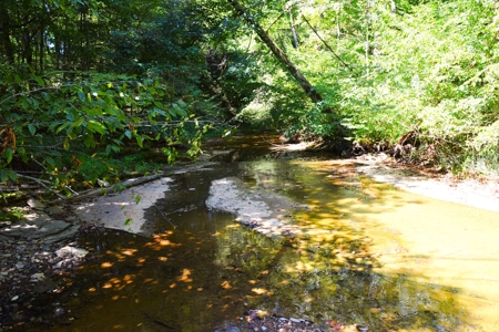 Hunting, Creeks, Marketable Timber, Tralls, Cabin Sites - image 17