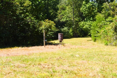 Hunting, Creeks, Marketable Timber, Tralls, Cabin Sites - image 29