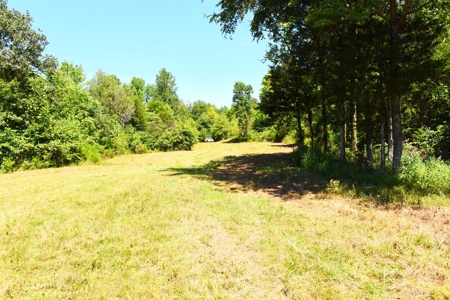 Hunting, Creeks, Marketable Timber, Tralls, Cabin Sites - image 38