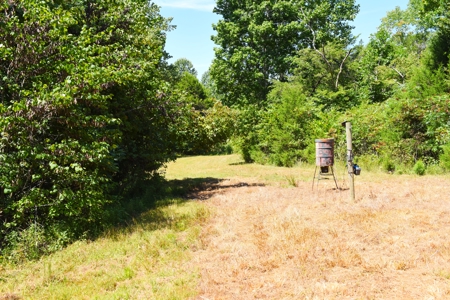 Hunting, Creeks, Marketable Timber, Tralls, Cabin Sites - image 31