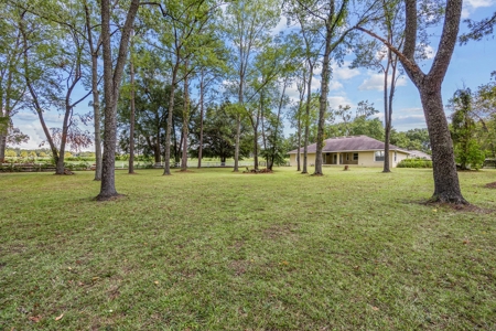 Beautiful Home On 1 Acre In Alachua, Fl! - image 5