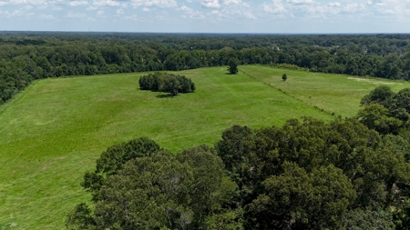 194 Acre Hunting, Homesite, and Pastureland for Sale - image 5