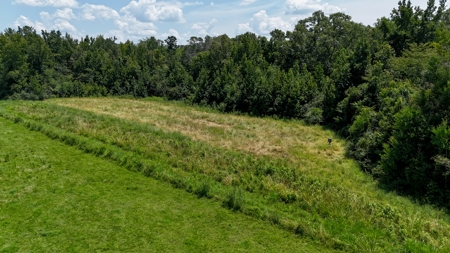 194 Acre Hunting, Homesite, and Pastureland for Sale - image 9