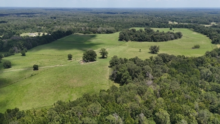 194 Acre Hunting, Homesite, and Pastureland for Sale - image 33