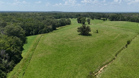 194 Acre Hunting, Homesite, and Pastureland for Sale - image 7