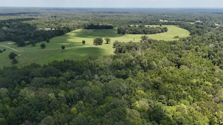 194 Acre Hunting, Homesite, and Pastureland for Sale - image 34